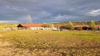 SE view irrigated pasture rainbow